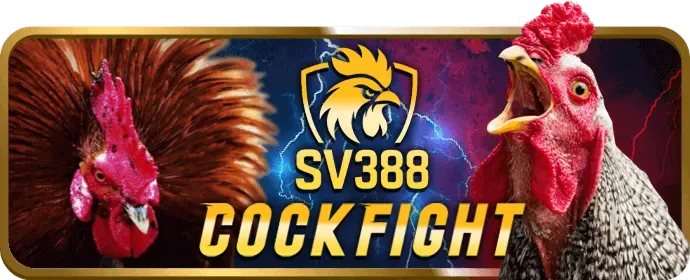 Biểu tượng Live Chat hỗ trợ trực tuyến 24/7